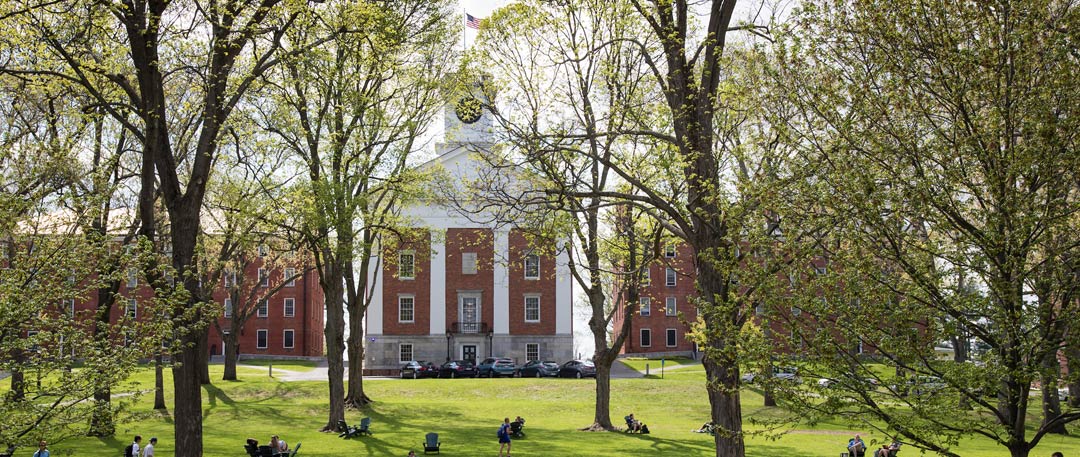 Students walk on the quad in springtime